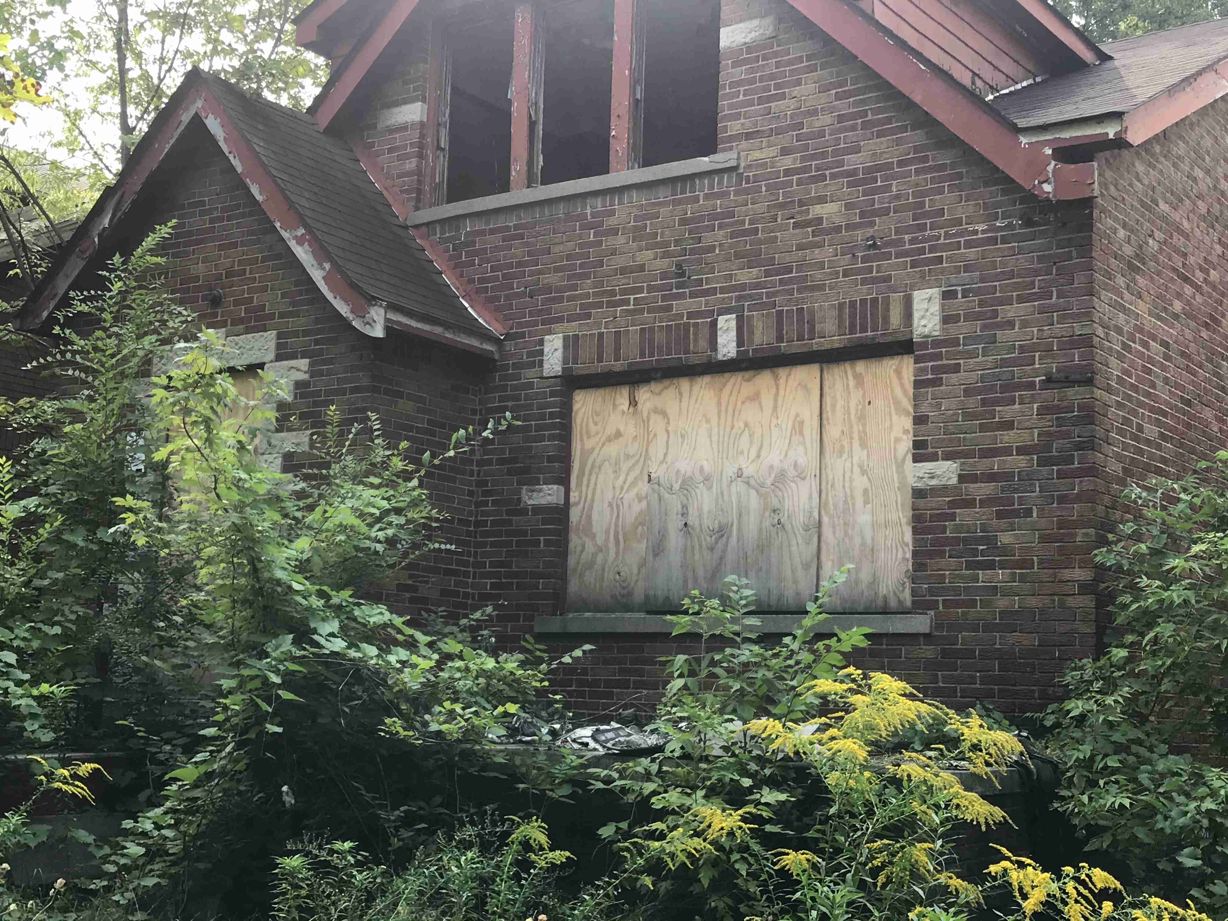 Photo Sep 15, 3 24 24 PM.jpg